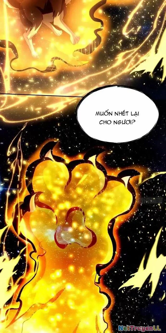 Nguyên Lai Ta Là Tu Tiên Đại Lão Chapter 430 - 16