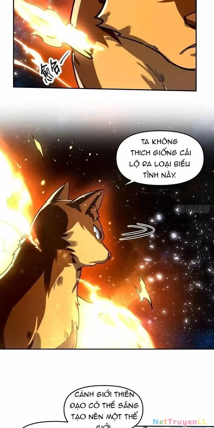 Nguyên Lai Ta Là Tu Tiên Đại Lão Chapter 430 - 37