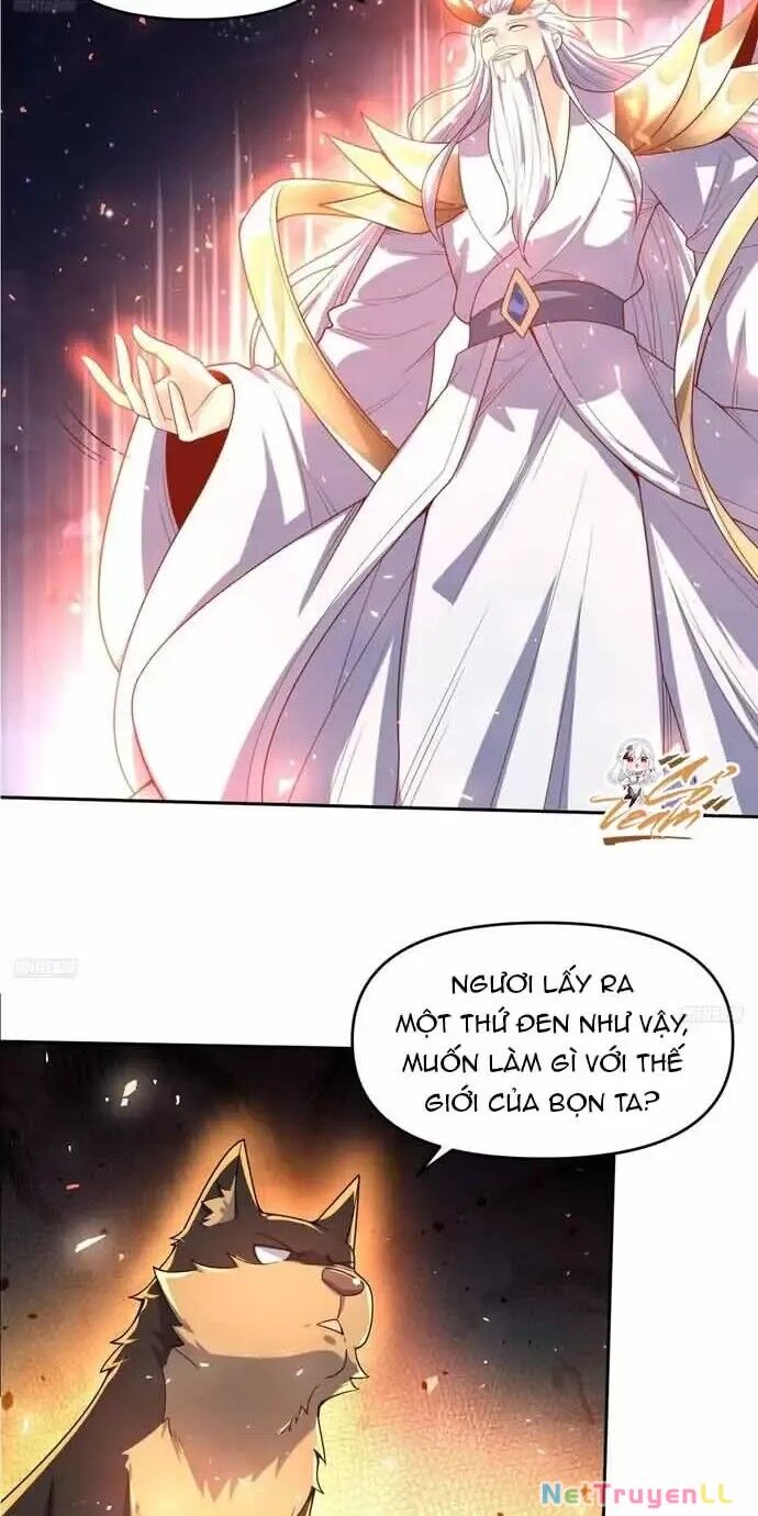 Nguyên Lai Ta Là Tu Tiên Đại Lão Chapter 430 - 4