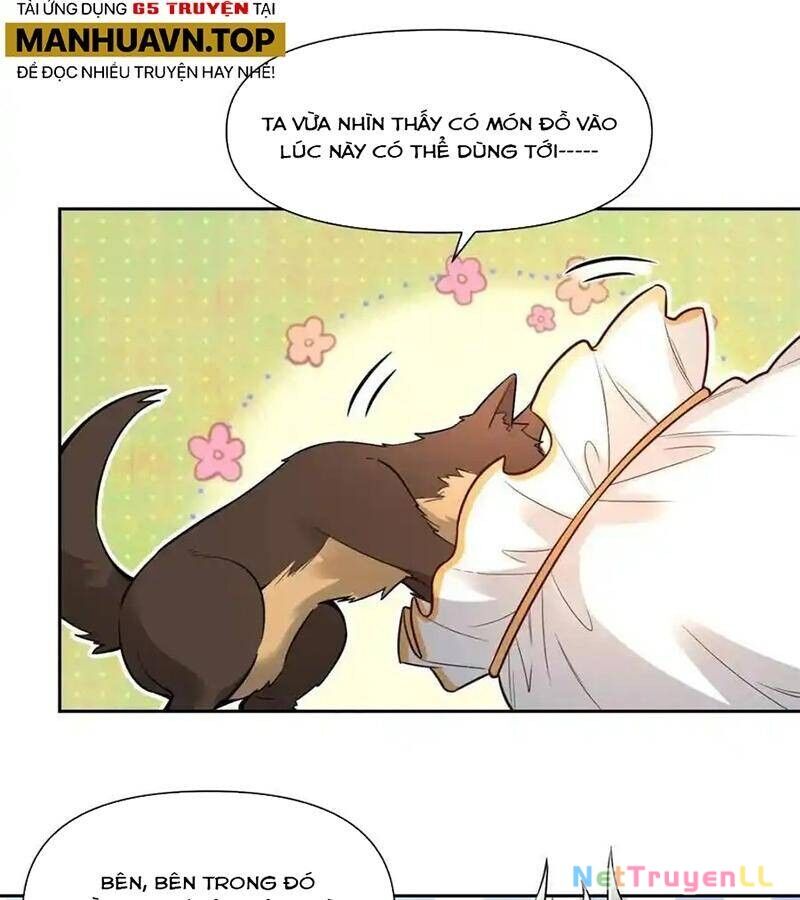 Nguyên Lai Ta Là Tu Tiên Đại Lão Chapter 423 - 6