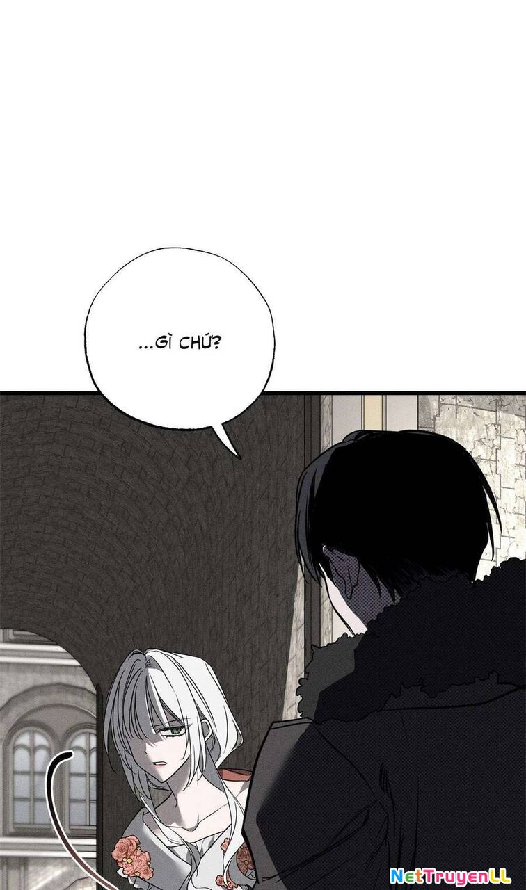 Vị Phu Quân Căm Ghét Tôi Đã Mất Trí Nhớ Chapter 44 - 9