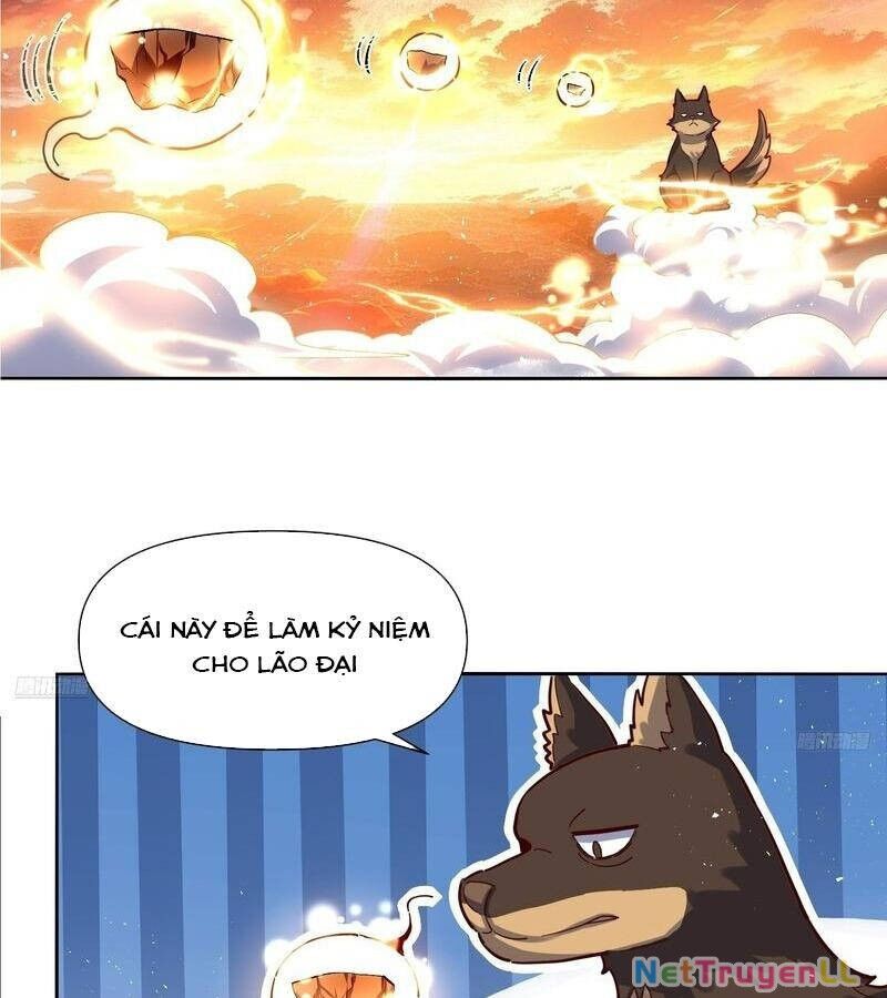 Nguyên Lai Ta Là Tu Tiên Đại Lão Chapter 424 - 12