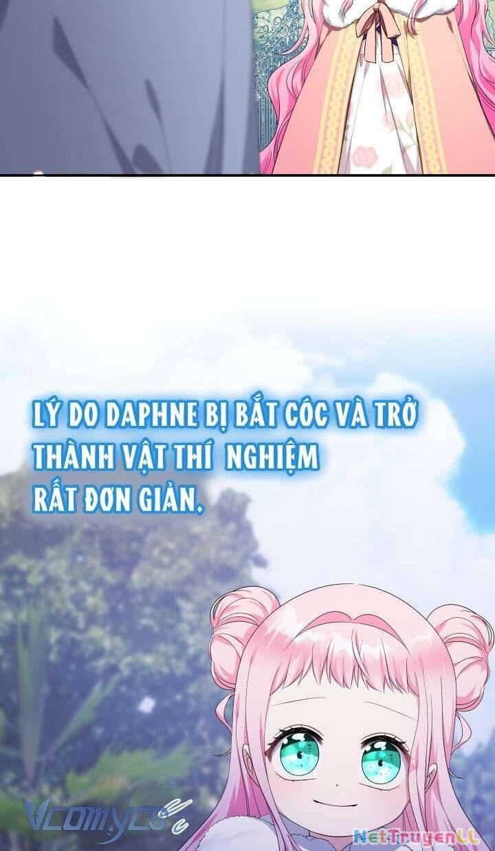 Tiểu Thư Tích Tiền Đi Bụi Chapter 55 - 16