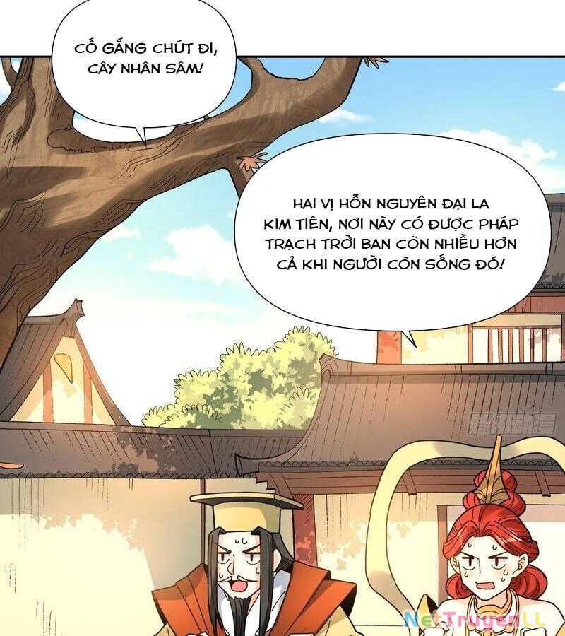 Nguyên Lai Ta Là Tu Tiên Đại Lão Chapter 421 - 46