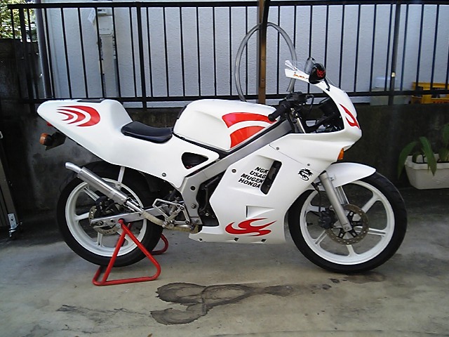 アプリリア RS50 純正プロアーム 流用に NS-1 TZR50R NS50F
