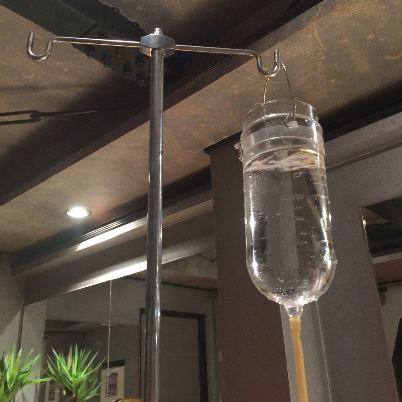 調教 イルリガートル