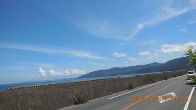 DSCN5291