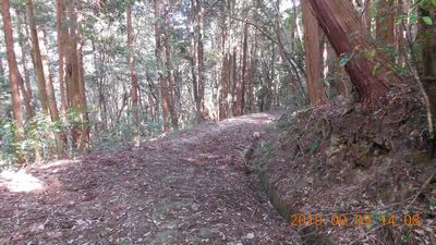 DSCN5331
