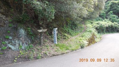 DSCN5307