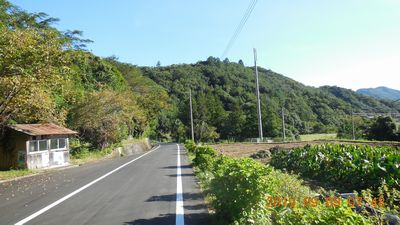 DSCN5284