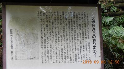 DSCN5312