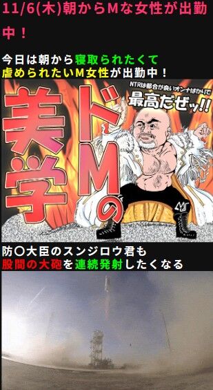 8b908116.jpg (309×564)