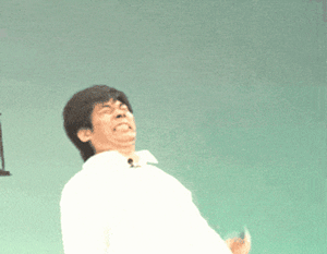 a1df2289.gif (300×233)