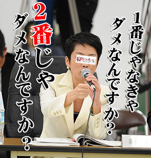 b4e4c7f2.jpg (300×314)