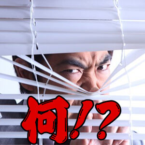 bfc7b267.jpg (300×300)