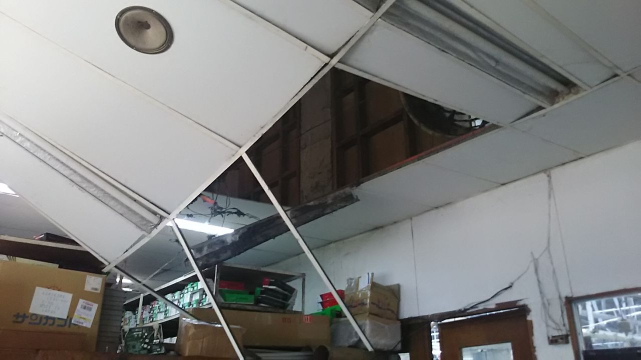 天井が落ちてきた ばいすちあまんの独り言