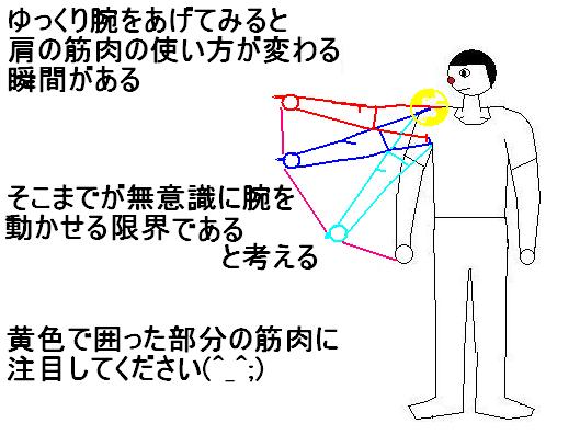Ngagolak 腕 筋肉 ダーツ
