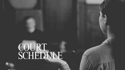 裁判スケジュール(12)