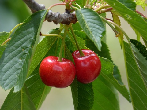 06