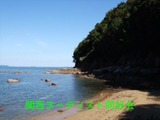 17d410e7.jpg