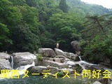 2249793d.jpg