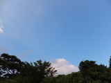 5f373b09.jpg