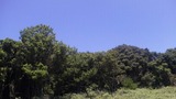 645fe40e.jpg
