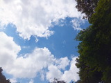 6818729c.jpg