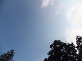 a96cc10c.jpg