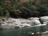 d18bf042.jpg