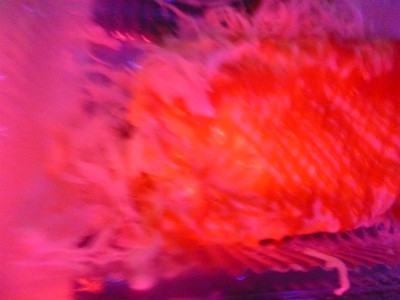 P1020339