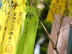七夕