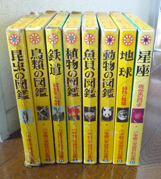 捨てることは必ずしも善ではない わたしの図書館