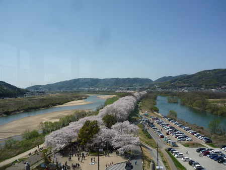 背割堤