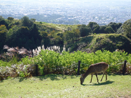 山頂