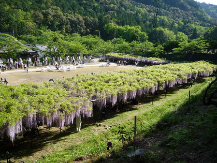 白毫寺