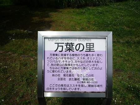 万葉の里