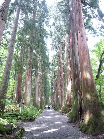 2288226_1317058727_61large