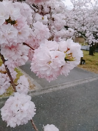 霊宝館