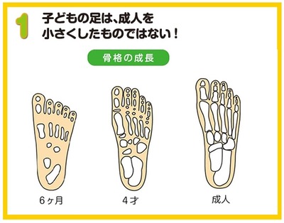 あしのレントゲン