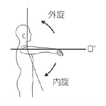 肩関節