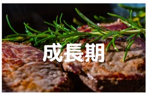 肉