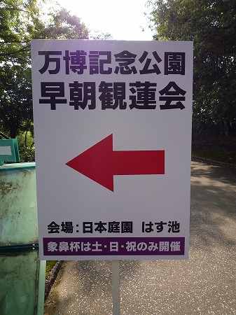 早朝観蓮会と象鼻杯