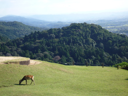 山頂