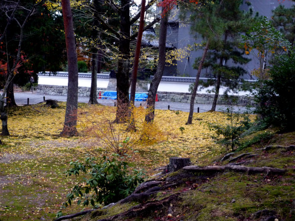 南禅寺水路閣 穴場の最勝院 高徳庵 わたしの図書館