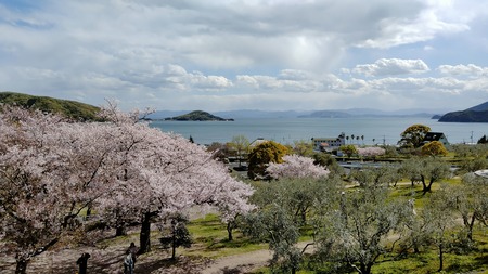 道の駅小豆島オリーブ公園