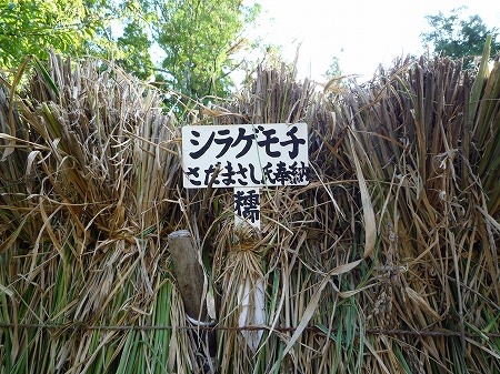 萬葉植物園 秋の実りと射干玉 ぬばたま の緑髪 わたしの図書館 萬葉植物園 秋の実りと射干玉 ぬばたま の緑髪 わたしの図書館