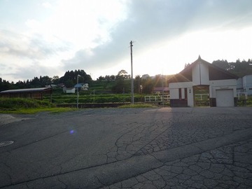 2288226_1318598383_87large