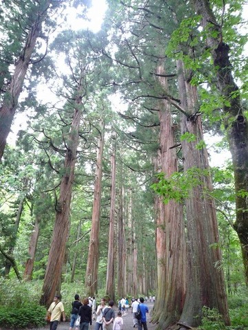 2288226_1317058686_56large