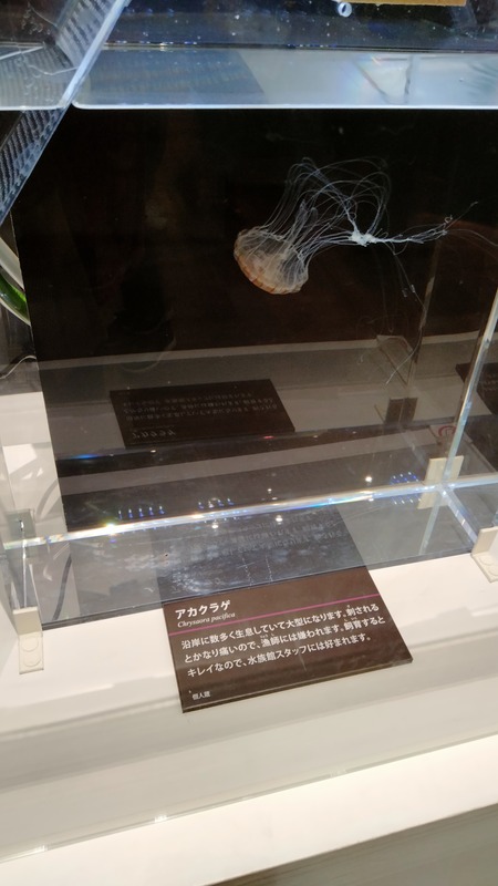 特別展「毒」